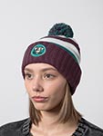 Шапка MITCHELL NESS арт. HK10243-ADUPURP Anaheim Ducks NHL (сливовый / зеленый)